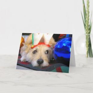 Merry Christmas Holiday Card