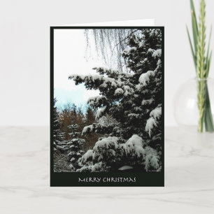 Merry Christmas Holiday Card