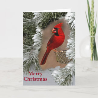 Merry Christmas Holiday Card