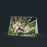Merry  Christmas... Holiday Card<br><div class="desc">Christmas Pine Tree</div>