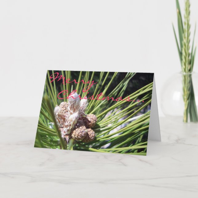 Merry  Christmas... Holiday Card (Front)