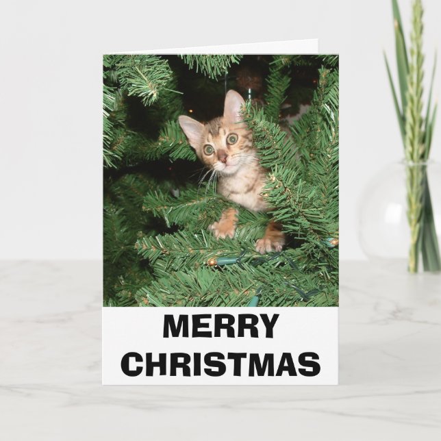 MERRY CHRISTMAS HOLIDAY CARD (Front)