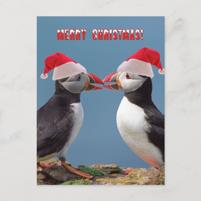 Merry Christmas Holiday Postcard (Front)