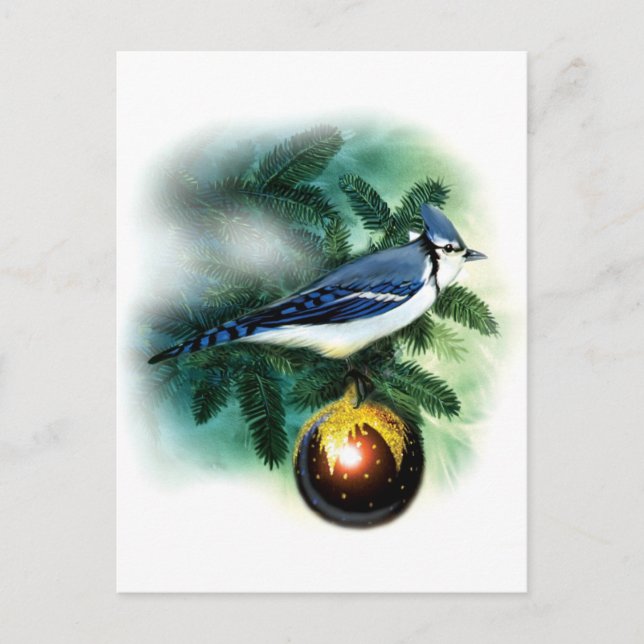 MERRY CHRISTMAS HOLIDAY POSTCARD (Front)