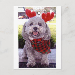 Merry Christmas Holiday Postcard