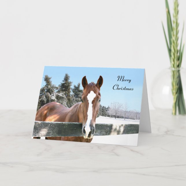 Merry Christmas horse Holiday Card (Front)