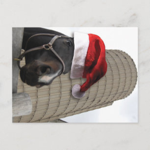 Merry Christmas Horse with Santa Hat Holiday Postcard