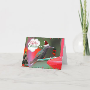 Merry Christmas Hummingbird Holiday Card
