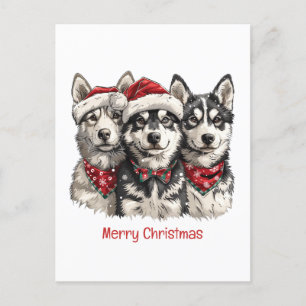 Merry Christmas Husky Dogs Holiday Postcard