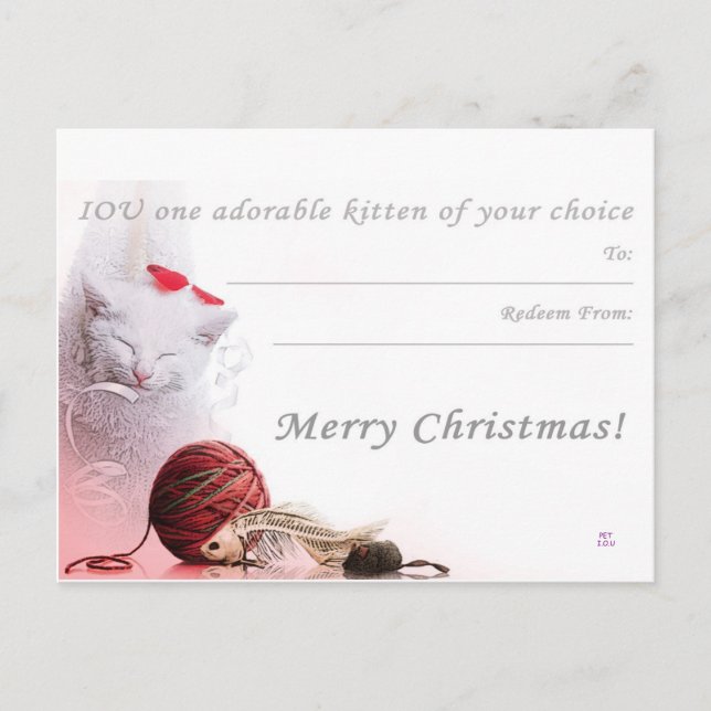 Merry Christmas I.O.U a kitten Holiday Postcard (Front)
