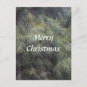 Merry Christmas in the Pines Holiday Postcard