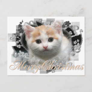 Merry Christmas Kitten - Holiday Postcards