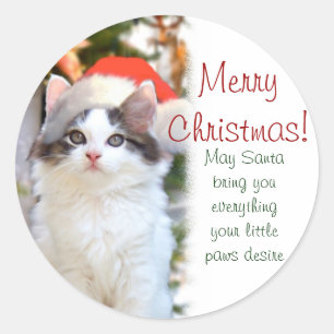 Merry Christmas Kitten Stickers w/verse
