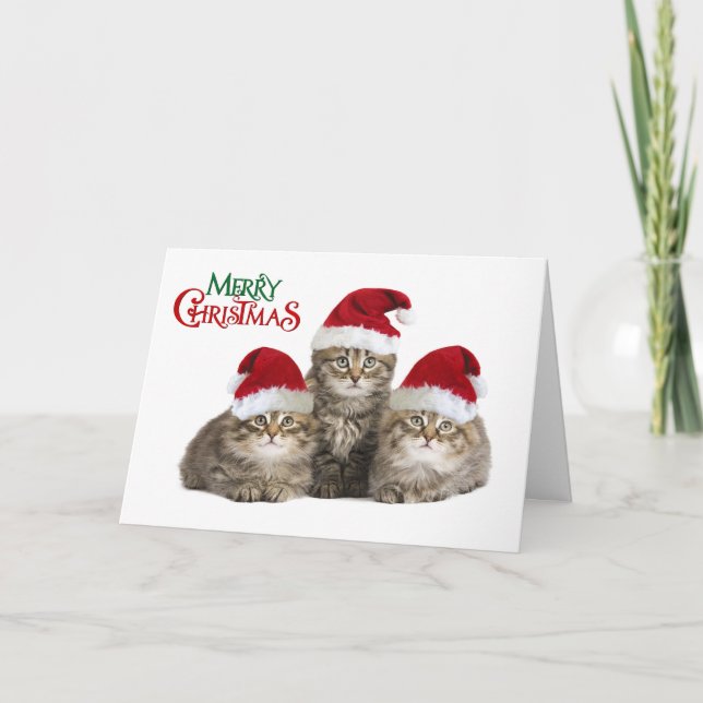 Merry Christmas Kittens Holiday Card (Front)
