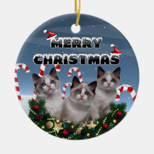 Merry Christmas Kittens in Candy Cane Land Ceramic Tree Decoration