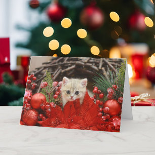 Merry Christmas Kitty Personalise Your Greeting Holiday Card