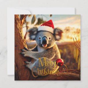 Merry Christmas Koala sitting in Gumtree Card