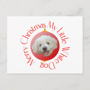Merry Christmas Little White Dog Holiday Postcard