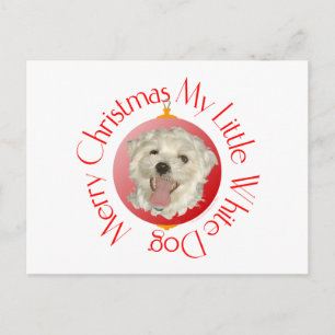 Merry Christmas Little White Dog Holiday Postcard