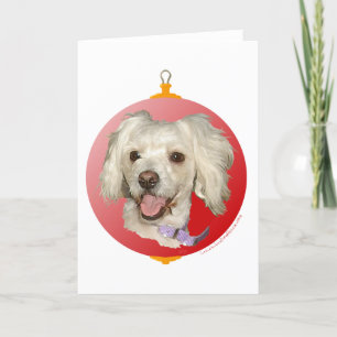 Merry Christmas Little White Dog Poodle / Bichon Holiday Card