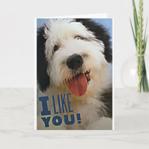 ***MERRY CHRISTMAS*** **LOVE YOU** & **LIKE YOU** CARD