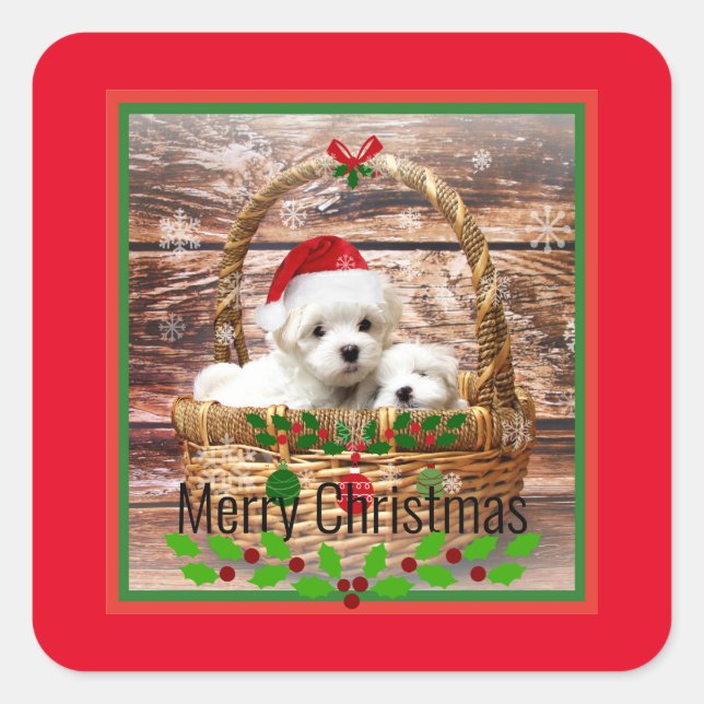 Merry Christmas, Maltese Puppies, holiday colours Square Sticker (Front)