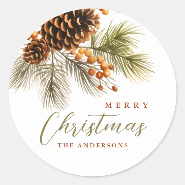 Merry Christmas Mistletoe Round Stickers (Front)