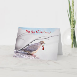 Merry Christmas Mourning Dove and Red Berries Holiday Card