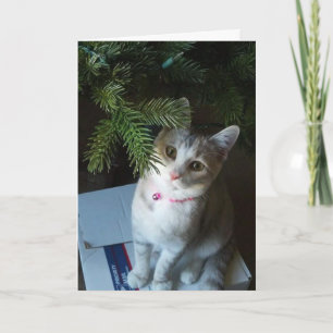 Merry Christmas Muffin (Card) Holiday Card
