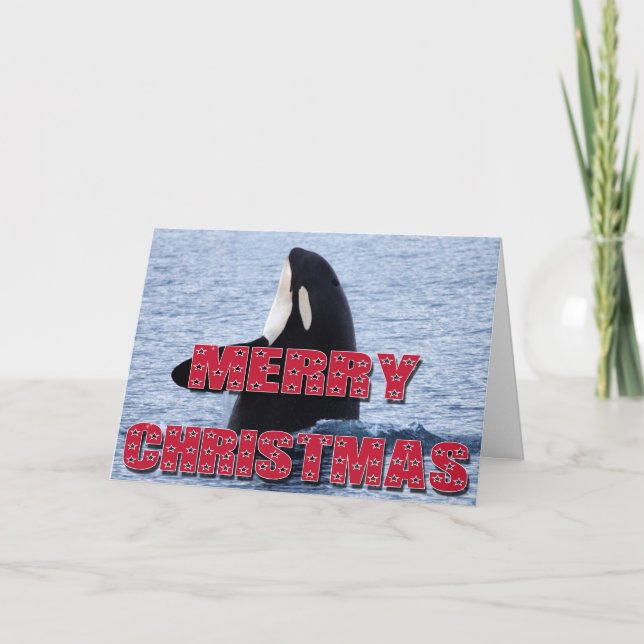 Merry Christmas Orca Whale Spy Hop Holiday Gifts Card (Front)
