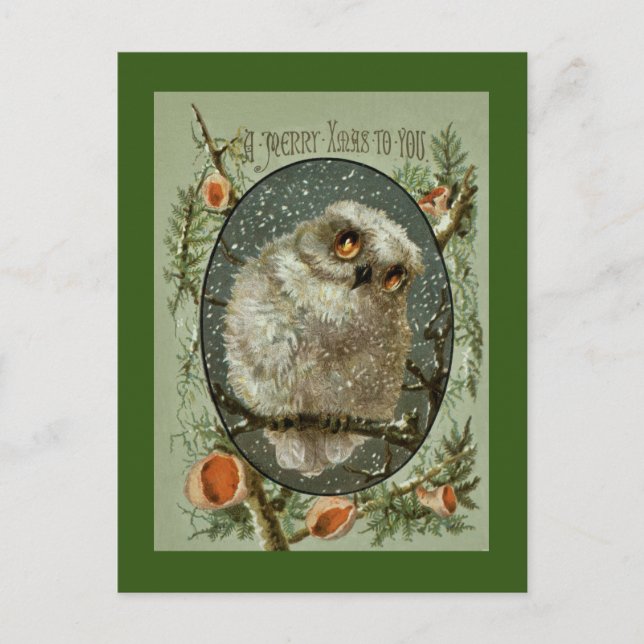Merry Christmas Owl Holiday Postcard (Front)