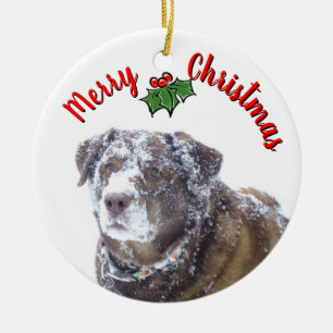 Merry Christmas personalise pet photo template Ceramic Tree Decoration