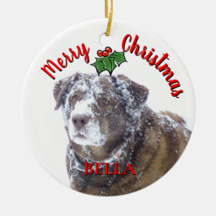  Merry Christmas personalise pet photo template Ceramic Tree Decoration
