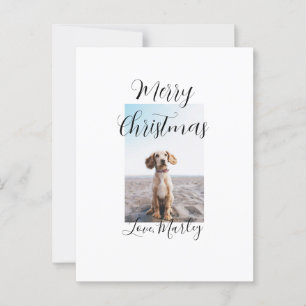 Merry Christmas pet dog cat photo holiday gifts lo Postcard