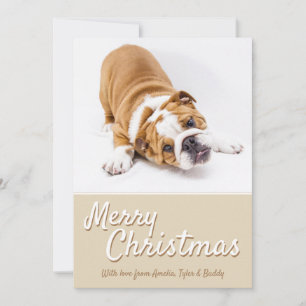 Merry Christmas Pet Dog Photo Holiday Card