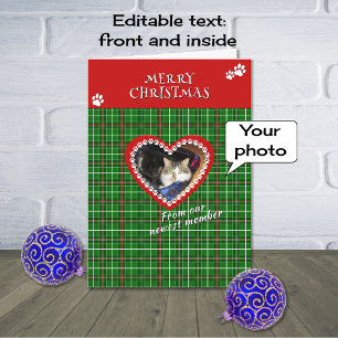 Merry Christmas pet photo red green check Holiday Card