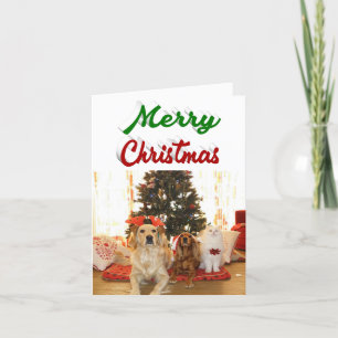 Merry Christmas photo red green script Holiday Card