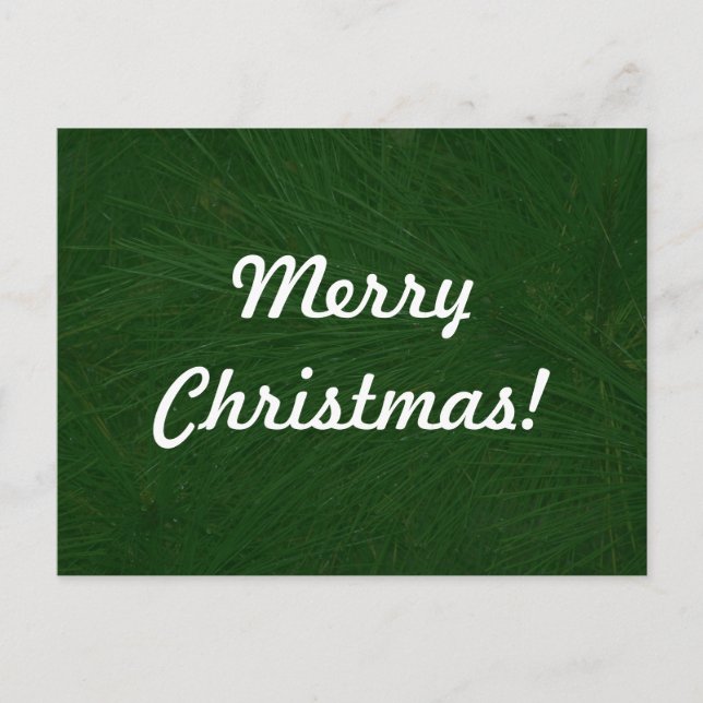 Merry Christmas Pine Tree Close Up Holiday Postcard (Front)