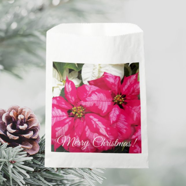 Merry Christmas Pink Variegated Poinsettias Floral Favour Bags (In Situ Holiday)