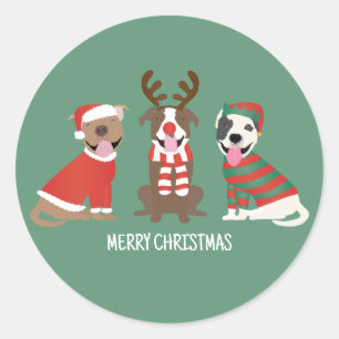 Merry Christmas Pit Bull Dogs Classic Round Sticker