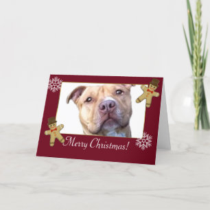 Merry Christmas Pitbull Dog Holiday Card