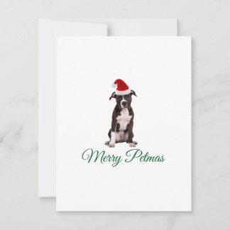 Merry Christmas pitbull Holiday Card