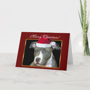 Merry Christmas pitbull puppy greeting card