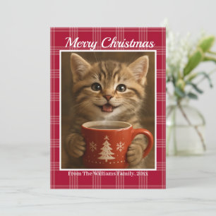 merry christmas plaid red cute kitten photo holiday card
