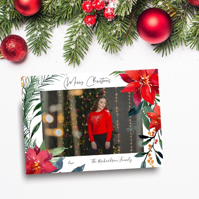 Merry Christmas Poinsettia Photo (Creator Uploaded)