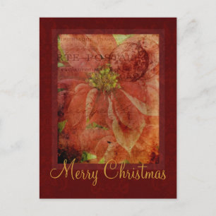 Merry Christmas Poinsettia Postcard