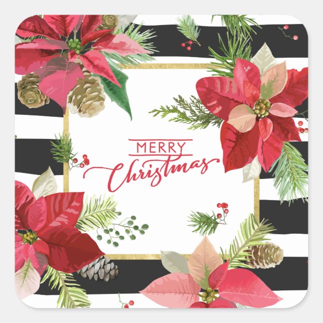 Merry Christmas Poinsettias, Black Stripe Stickers (Front)