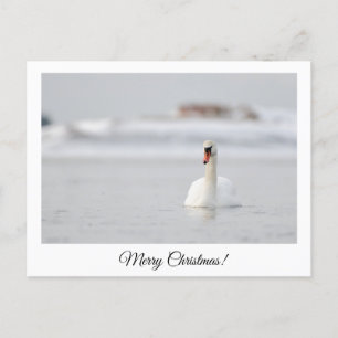 Merry Christmas! postcard