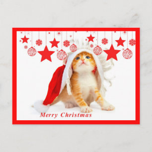 Merry Christmas Postcard