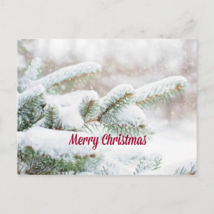 Merry Christmas Postcard